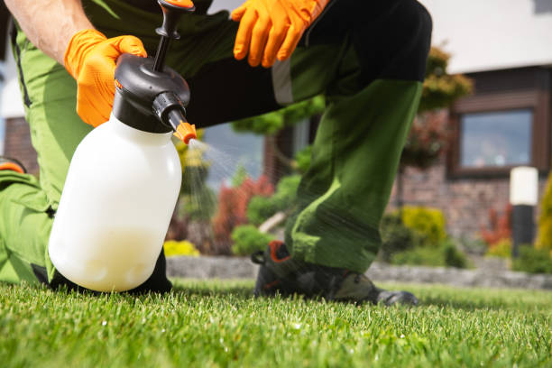 Trusted Dike, IA Pest Control Experts