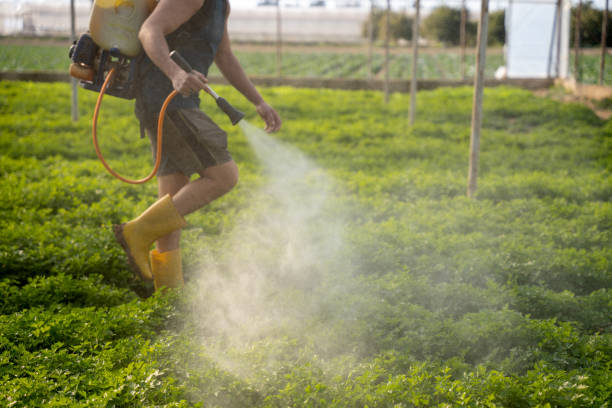 Best Ant Control Services  in Dike, IA