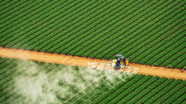Best Best Pest Control Companies  in Dike, IA