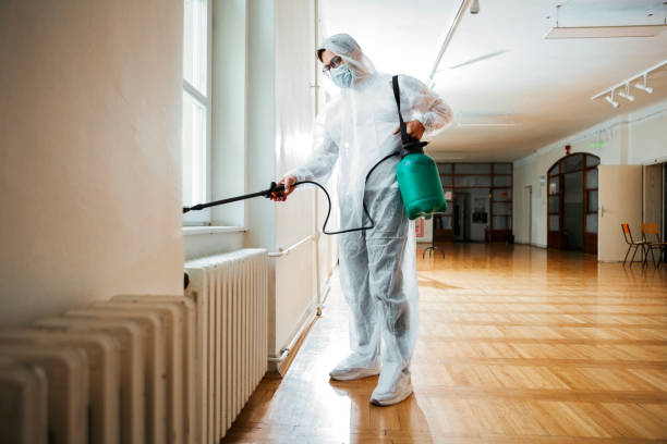 Best Pest Control for Businesses  in Dike, IA