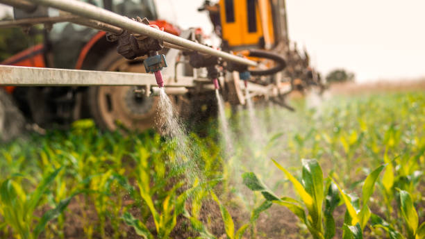 Best Affordable Exterminators  in Dike, IA