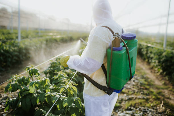 Best Best Pest Control Near Me  in Dike, IA
